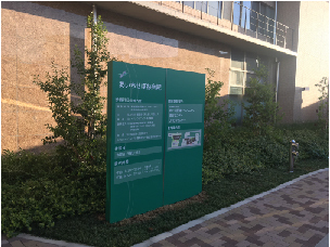 検診2回目.jpg
